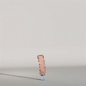 wacky_dude_tubes: 4925
