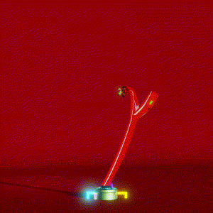 wacky_dude_tubes: 8235