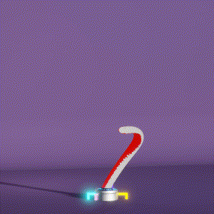 wacky_dude_tubes: 1211