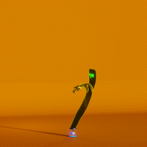 wacky_dude_tubes: 2750