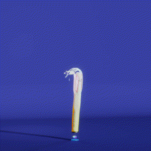 wacky_dude_tubes: 3550