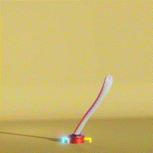 wacky_dude_tubes: 6561