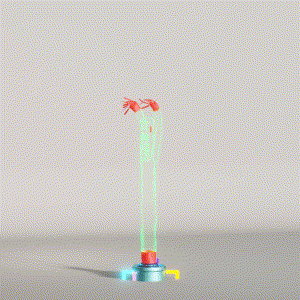 wacky_dude_tubes: 1618