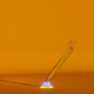 wacky_dude_tubes: 5749