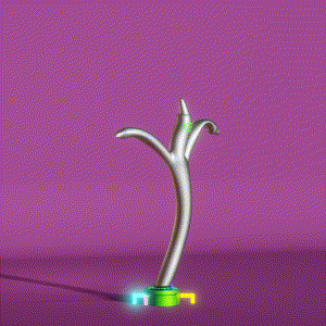 wacky_dude_tubes: 2620