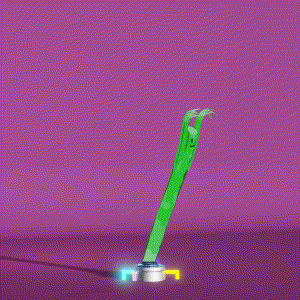 wacky_dude_tubes: 9461