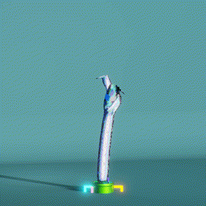 wacky_dude_tubes: 4162