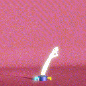 wacky_dude_tubes: 2434