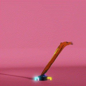 wacky_dude_tubes: 8698