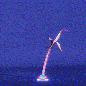 wacky_dude_tubes: 4438