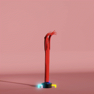 wacky_dude_tubes: 6504