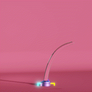 wacky_dude_tubes: 2308
