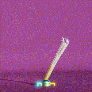 wacky_dude_tubes: 6870
