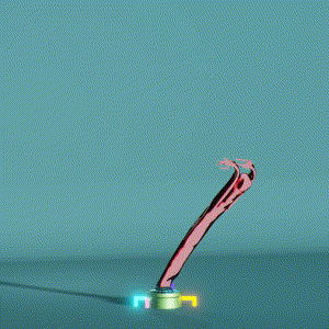 wacky_dude_tubes: 1272