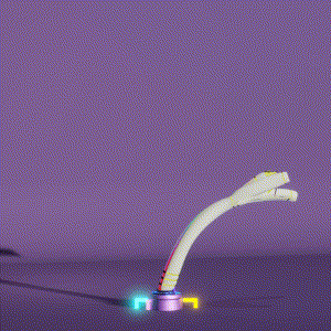 wacky_dude_tubes: 7041