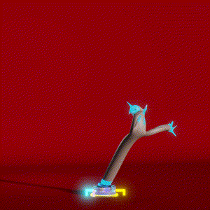 wacky_dude_tubes: 5043