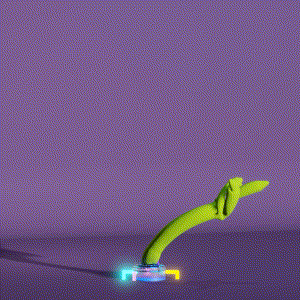 wacky_dude_tubes: 577