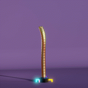 wacky_dude_tubes: 6203