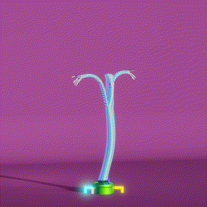 wacky_dude_tubes: 4511
