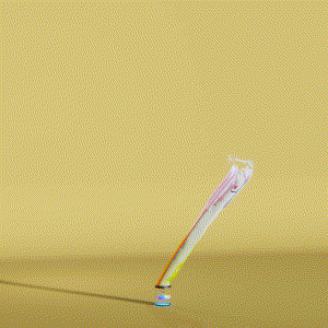 wacky_dude_tubes: 8422
