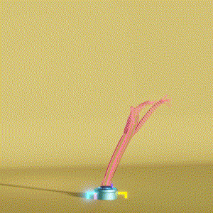 wacky_dude_tubes: 5757