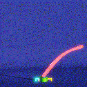 wacky_dude_tubes: 6744
