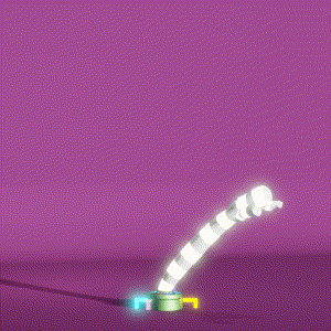 wacky_dude_tubes: 42