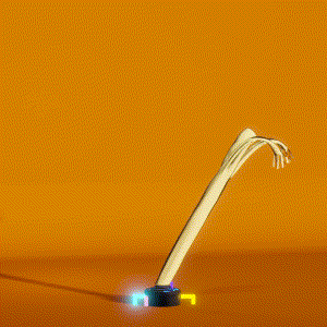 wacky_dude_tubes: 8568