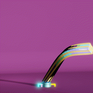 wacky_dude_tubes: 3955