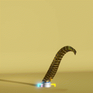 wacky_dude_tubes: 5815