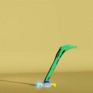 wacky_dude_tubes: 4228