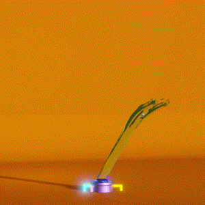 wacky_dude_tubes: 3356