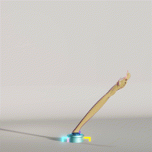 wacky_dude_tubes: 6987