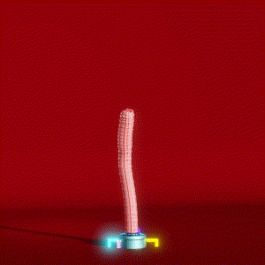 wacky_dude_tubes: 2071