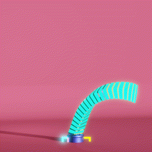 wacky_dude_tubes: 7678