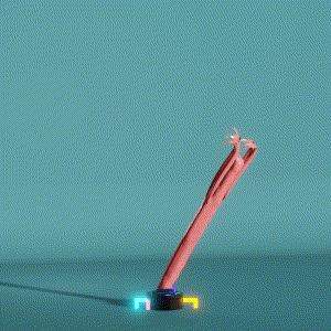 wacky_dude_tubes: 1515