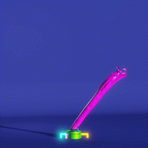 wacky_dude_tubes: 9881