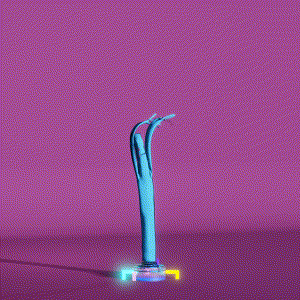 wacky_dude_tubes: 6051