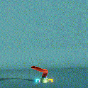 wacky_dude_tubes: 6562