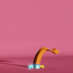 wacky_dude_tubes: 7683