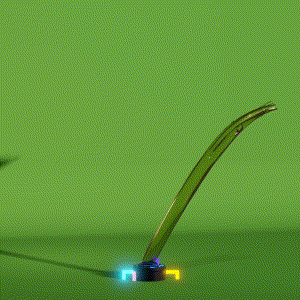 wacky_dude_tubes: 9885