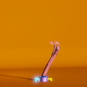 wacky_dude_tubes: 4018