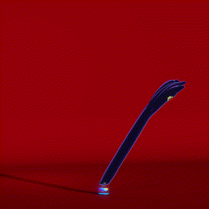 wacky_dude_tubes: 7117