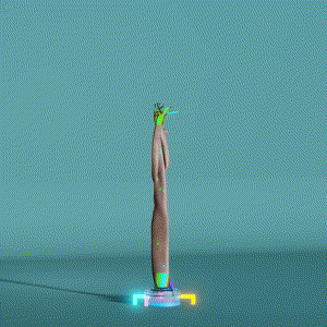 wacky_dude_tubes: 8701