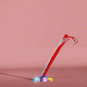wacky_dude_tubes: 8299