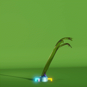 wacky_dude_tubes: 6389