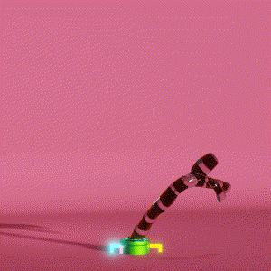 wacky_dude_tubes: 5929