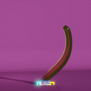 wacky_dude_tubes: 2802