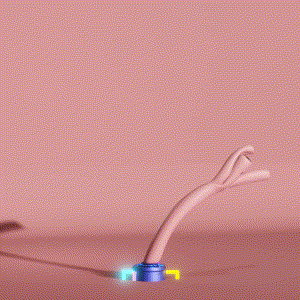 wacky_dude_tubes: 5998