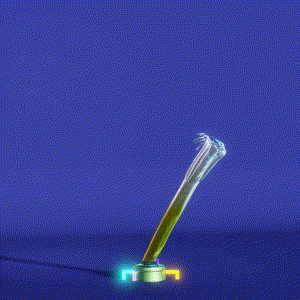 wacky_dude_tubes: 5377